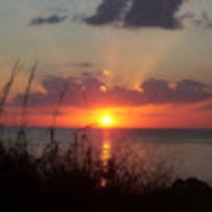 Meet your Posher, Jack